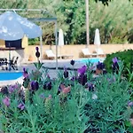 Dasia Apartments
